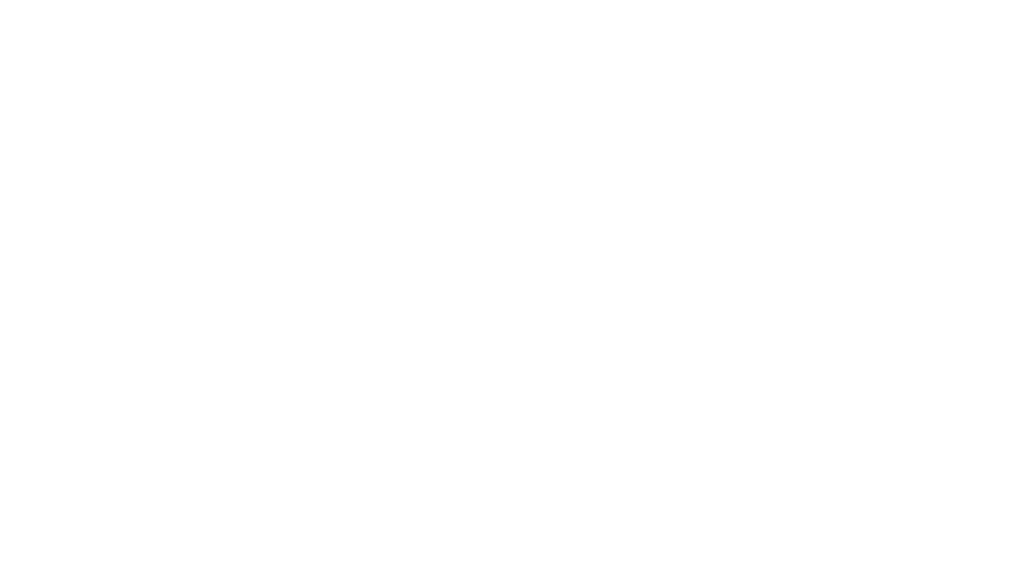 logo footer